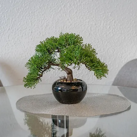 Διαμέρισμα Hermitage Homes Dls *